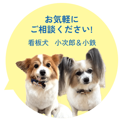 お気軽にご相談ください! 看板犬 小次郎&小鉄
